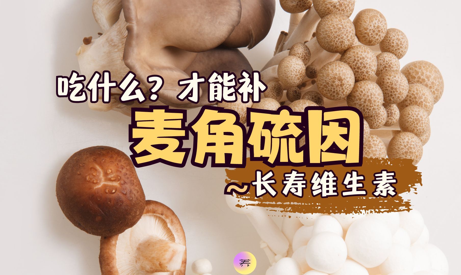 K衰界神仙成分:麦角硫因!吃蘑菇就能长寿?【养研凯丽】哔哩哔哩bilibili