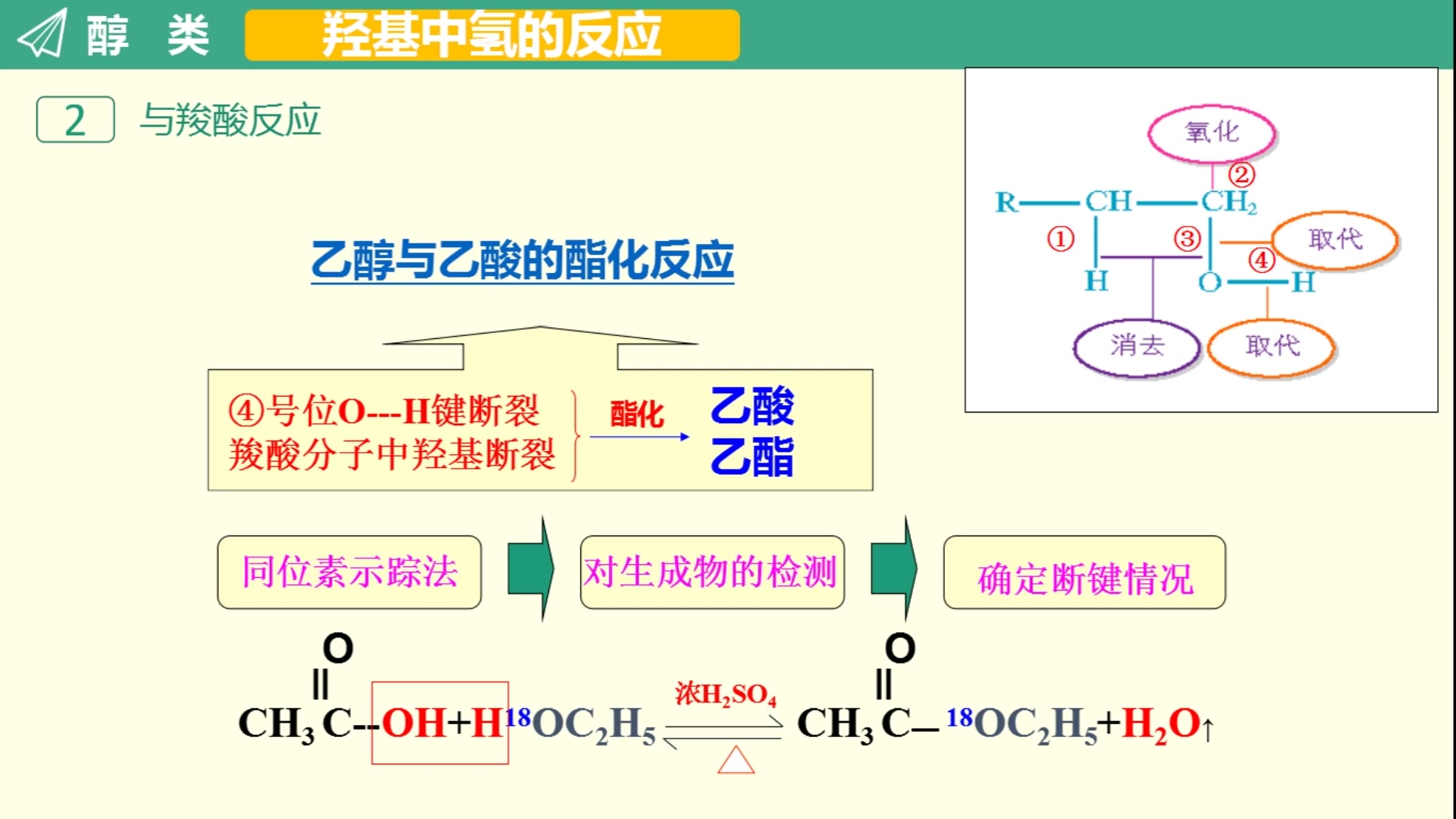 羟基中氢的反应、醇的氧化郭平哔哩哔哩bilibili