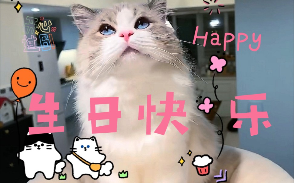 【Loki生贺】猪你生日快乐,洛琪琪宝贝✨✨哔哩哔哩bilibili