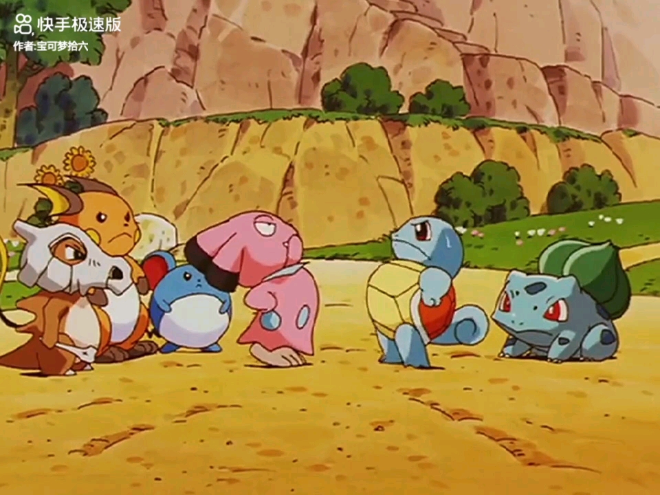 初代宝可梦 杰尼龟和妙蛙种子憨憨两兄弟
