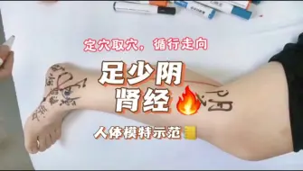 Download Video: 足少阴肾经-穴位定位和循行走向，人体模特更有助于学习-伍玉文老师