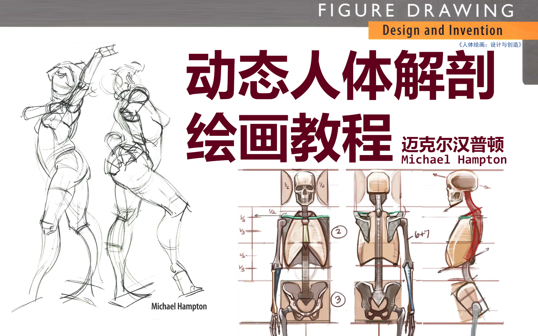 [图]【中文字幕】Michael Hampton（迈克尔汉普顿）动态人体解剖绘画教程（合集）