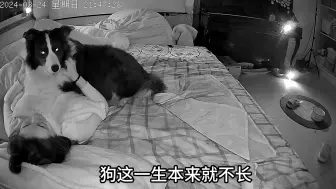 Download Video: 嘴皮子说破不如手起大嘴巴子落