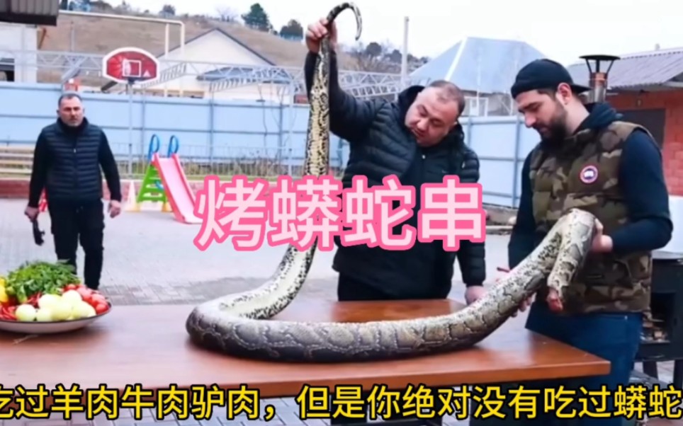 五米长一百斤重的蟒蛇,俄罗斯大叔做烤蟒蛇串,这肉太香了