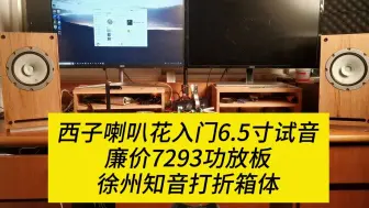 Video herunterladen: 西子喇叭花入门6.5寸试音