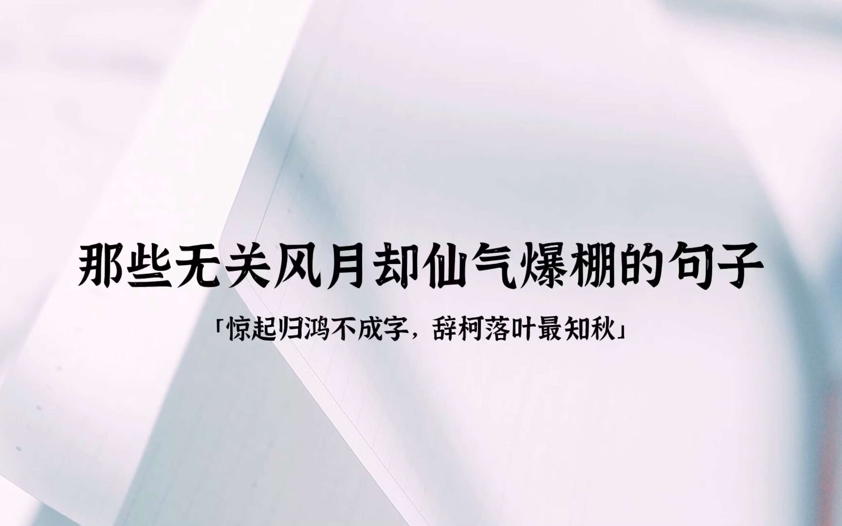 “人间自是有情痴,此恨无关风与月”|那些无关风月却仙气爆棚的句子哔哩哔哩bilibili