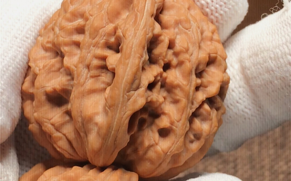 收藏吧! #霞云岭狮子头 #文玩核桃 #核桃爱好者_哔哩哔哩_bilibili