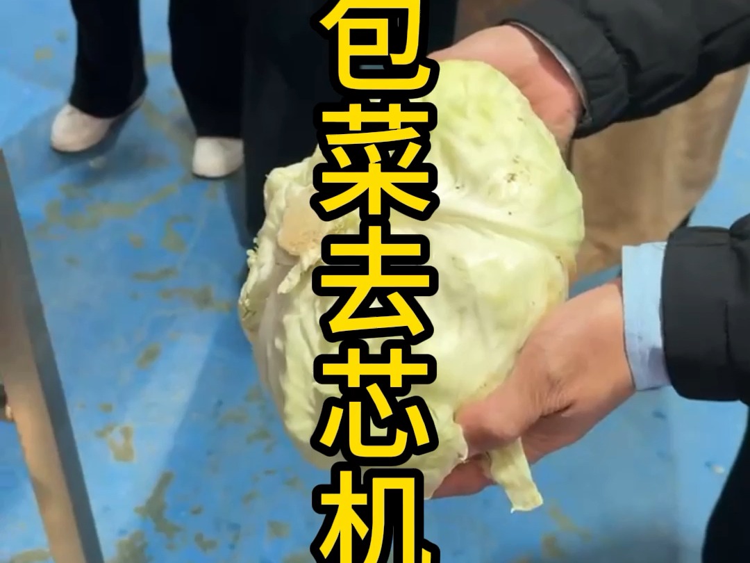 大白菜装机教程图片