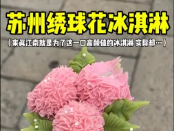 Download Video: 来苏州就是为了这一口绣球花冰淇淋 …结果😅难吃难吃！超级腻！！（齁到我牙痛了😅）但有一说一拍照打卡还是好看的…