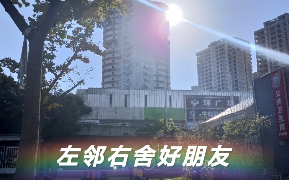 左邻右舍好朋友哔哩哔哩bilibili