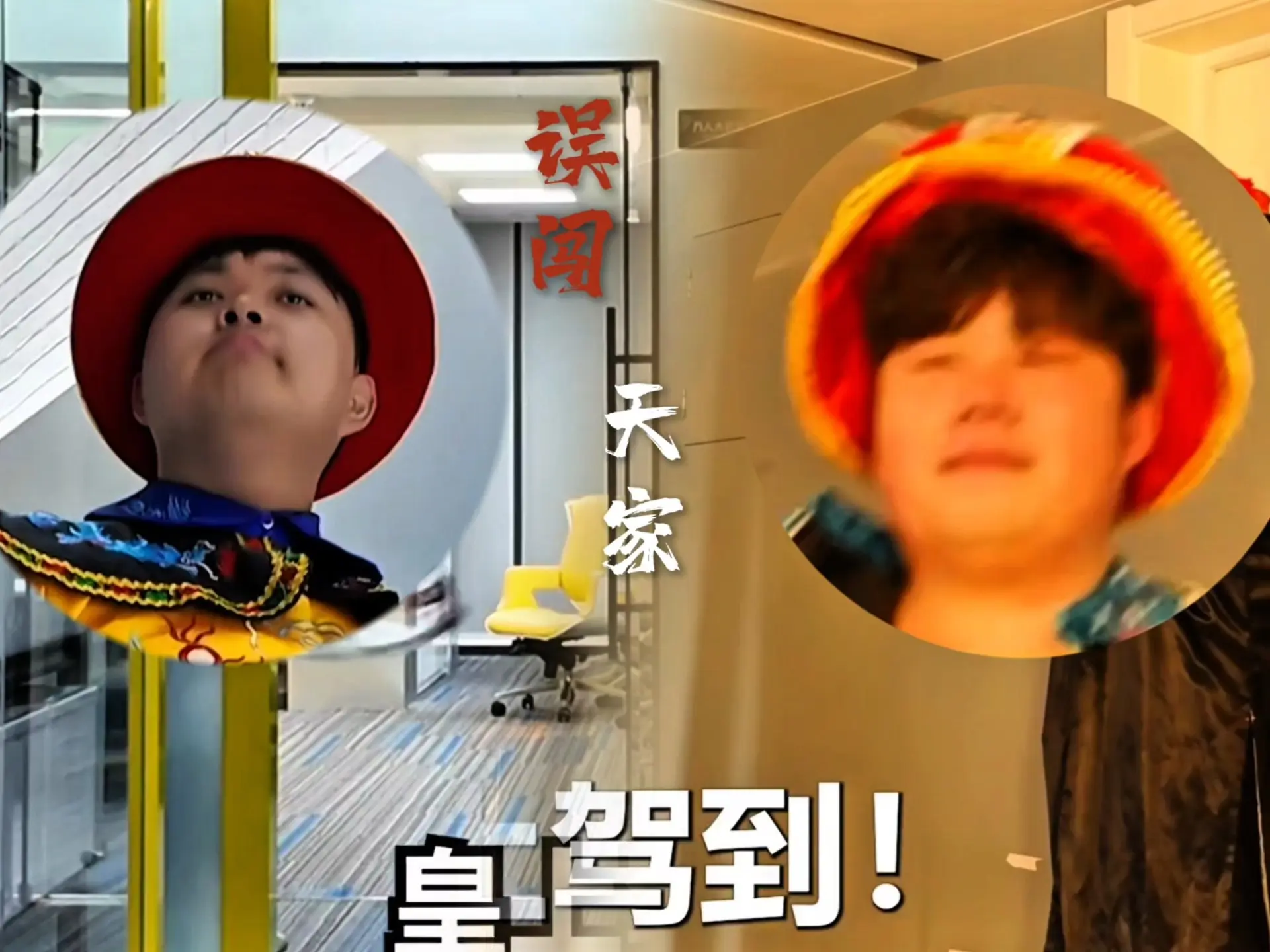 误闯天家但是潮t版……_哔哩哔哩_bilibili