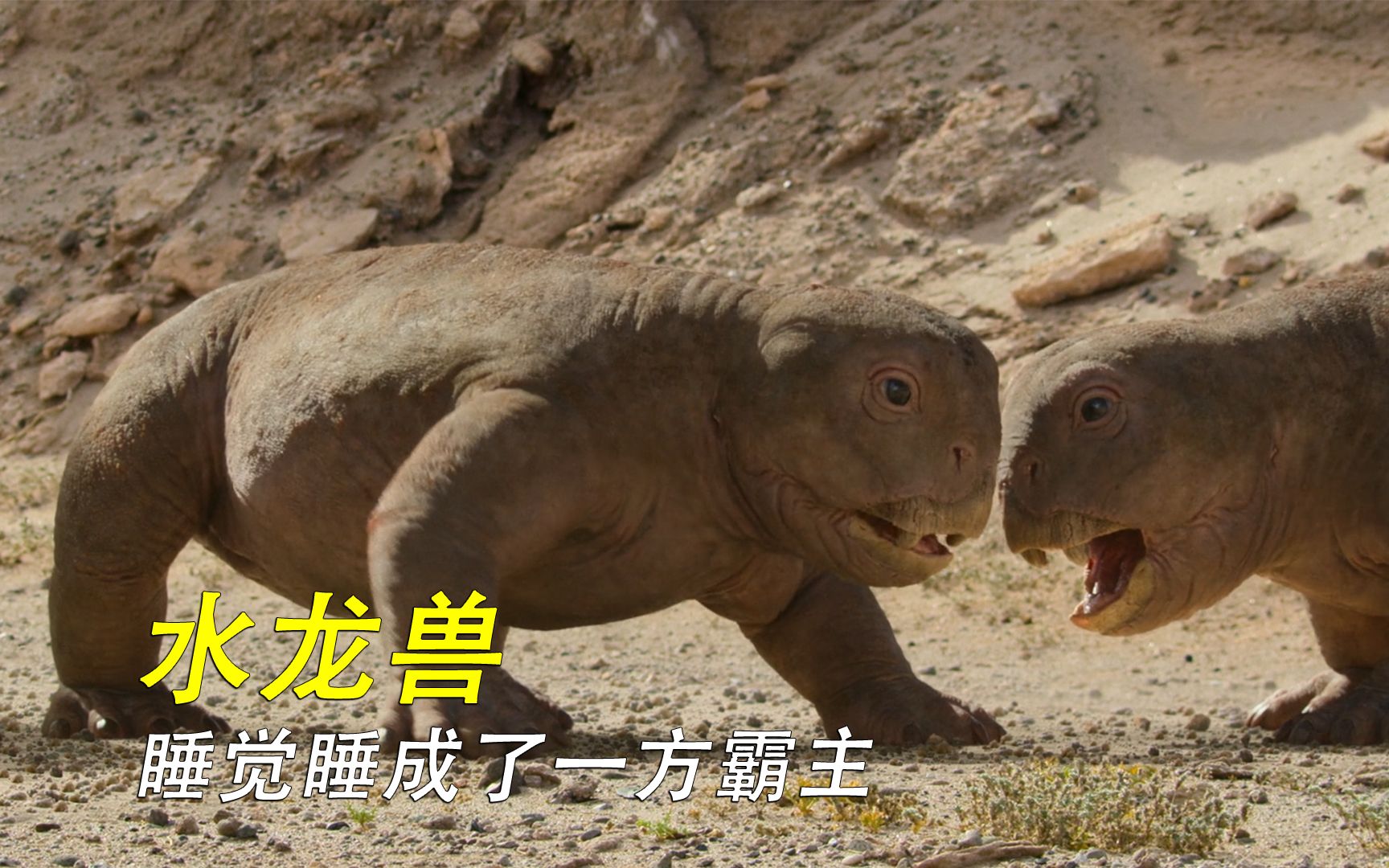 水龙兽:真不是故意的,我就是睡了一觉做了个梦而已,怎么就成霸主了嘛