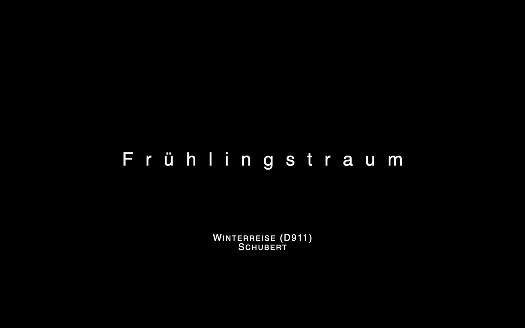 [图]冬之旅 11. Frühlingstraum 春梦 歌词范读