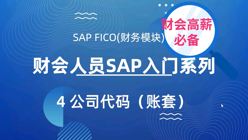 30天学会SAP系列SAP入门课:SAP公司代码#sapfico #sap视频 #sap #sap系统学习 #sap系统 #sap教程哔哩哔哩bilibili