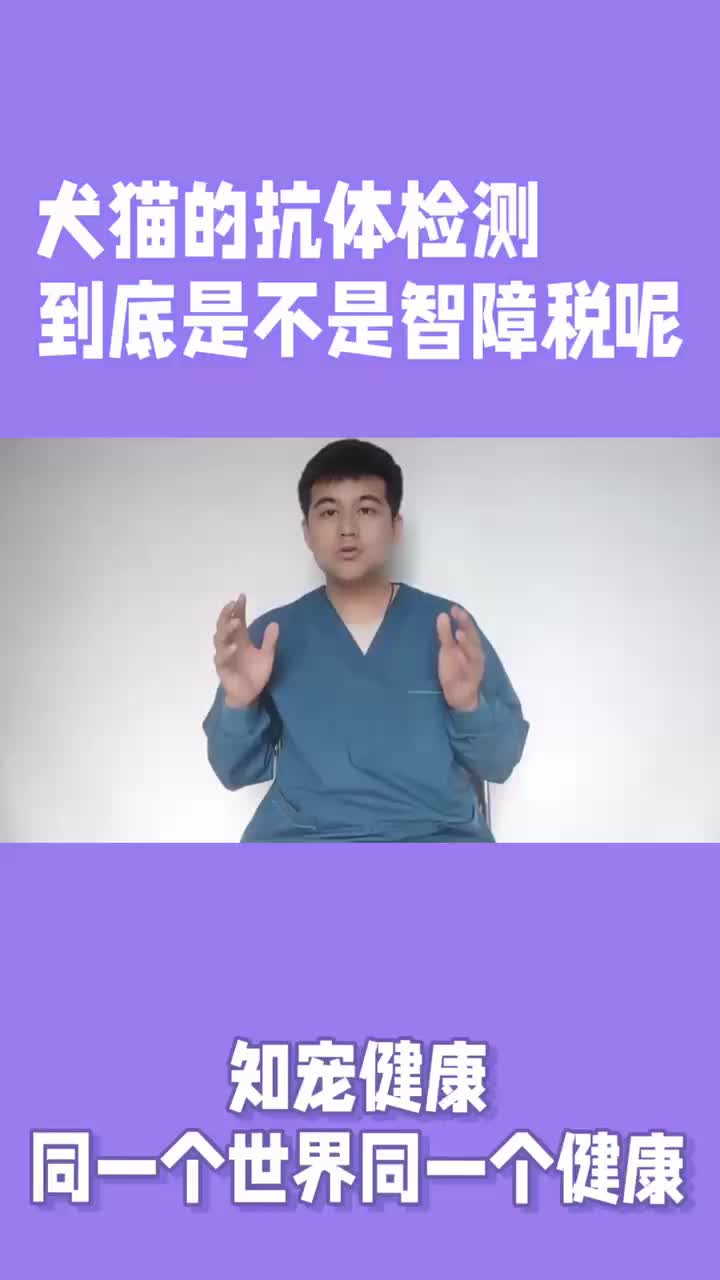 犬猫的抗体检查到底是不是智商税哔哩哔哩bilibili