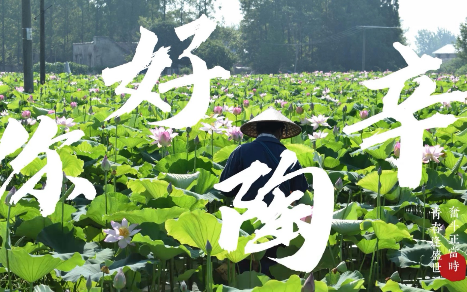 [图]最好的盛夏，总是属于意气风发的少年。他们让枯枝生长，也让年少如烈阳。