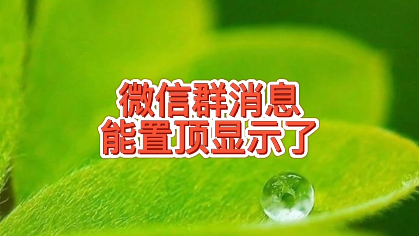 微信群消息可以置顶显示了,新功能不错过群主或老板发的重要内容哔哩哔哩bilibili