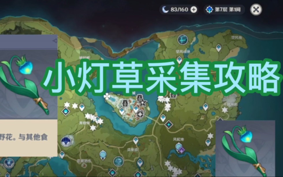小灯草采集攻略