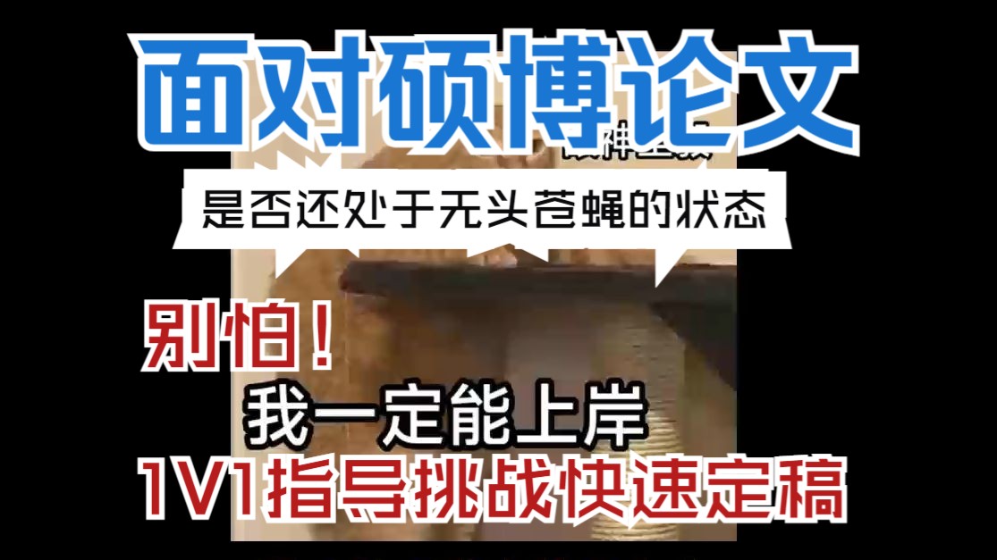 【硕博论文】挑战快速定稿,拒绝内耗哔哩哔哩bilibili