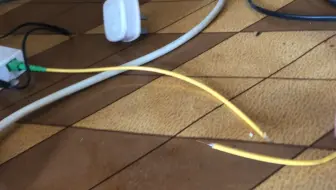 工作中每天都会遇到几个奇葩问题，光纤最大的敌人是老鼠，现在又要加上猫了