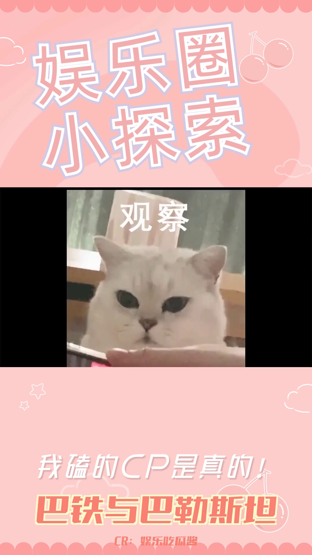 巴基斯坦与巴勒斯坦:名字相似,命运迥异哔哩哔哩bilibili