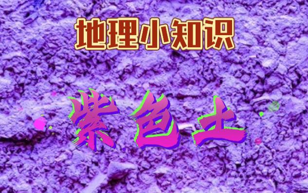 紫色土质地图片