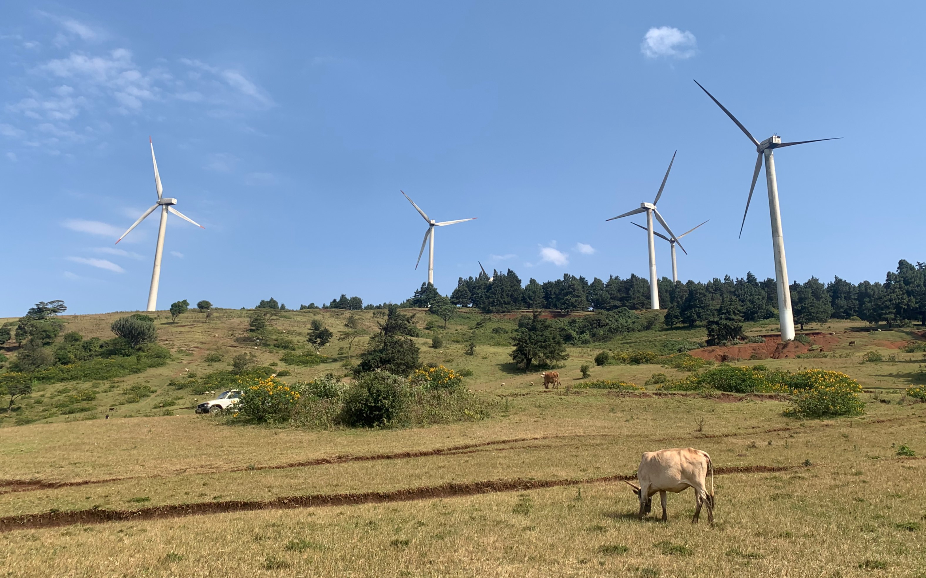 内罗毕郊区半日游/恩贡山徒步