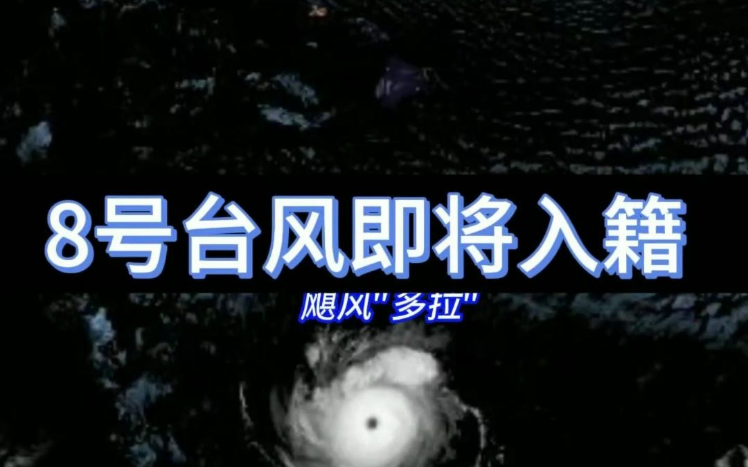 台风也能进口,飓风"多拉"周末入籍西太,成为8号台风哔哩哔哩bilibili