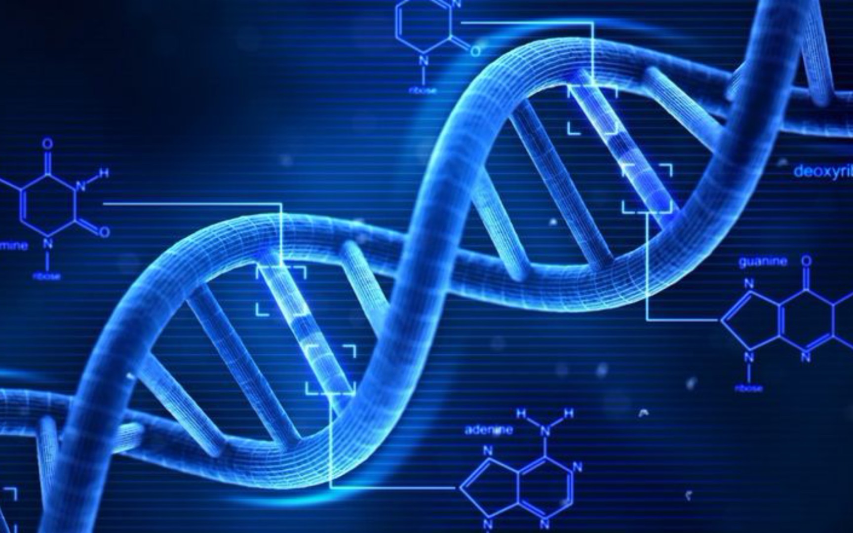 【生化小课堂】dna,rna的结构与功能