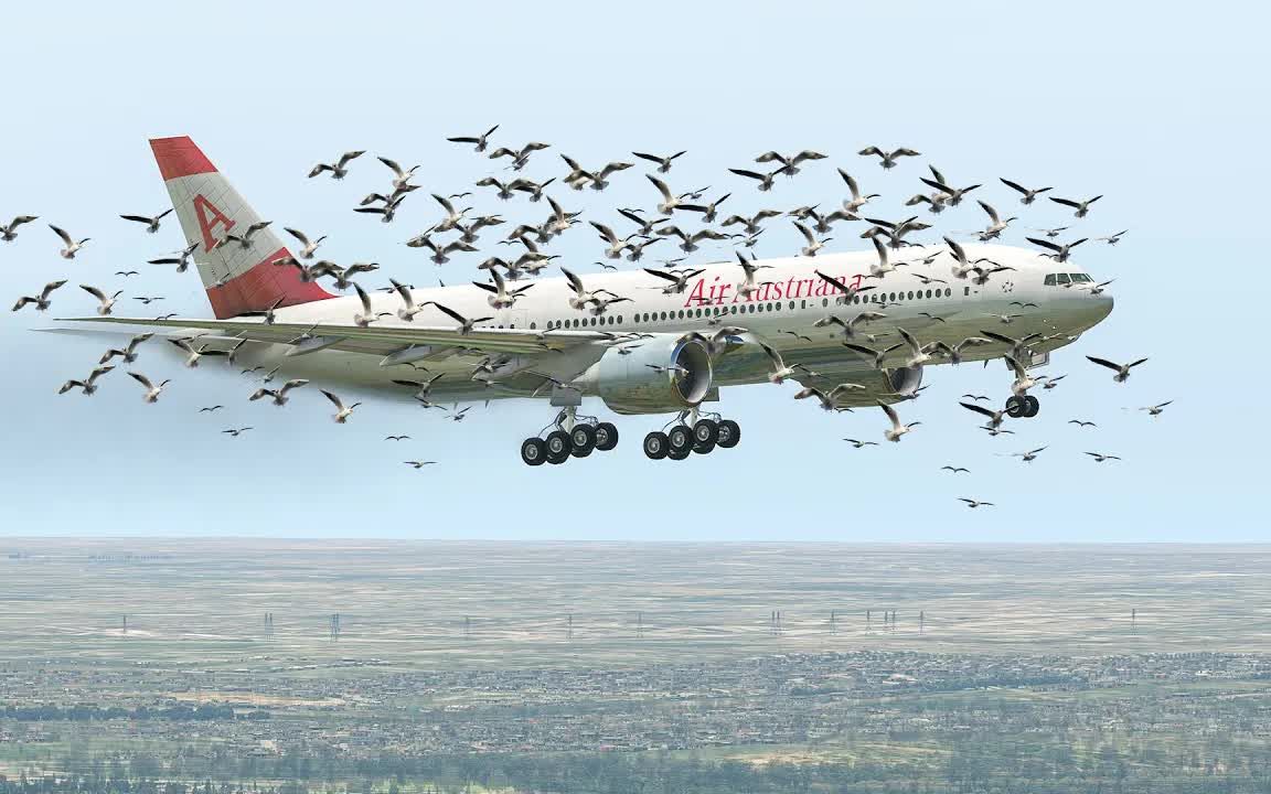 波音777因鸟击飞机而紧急降落