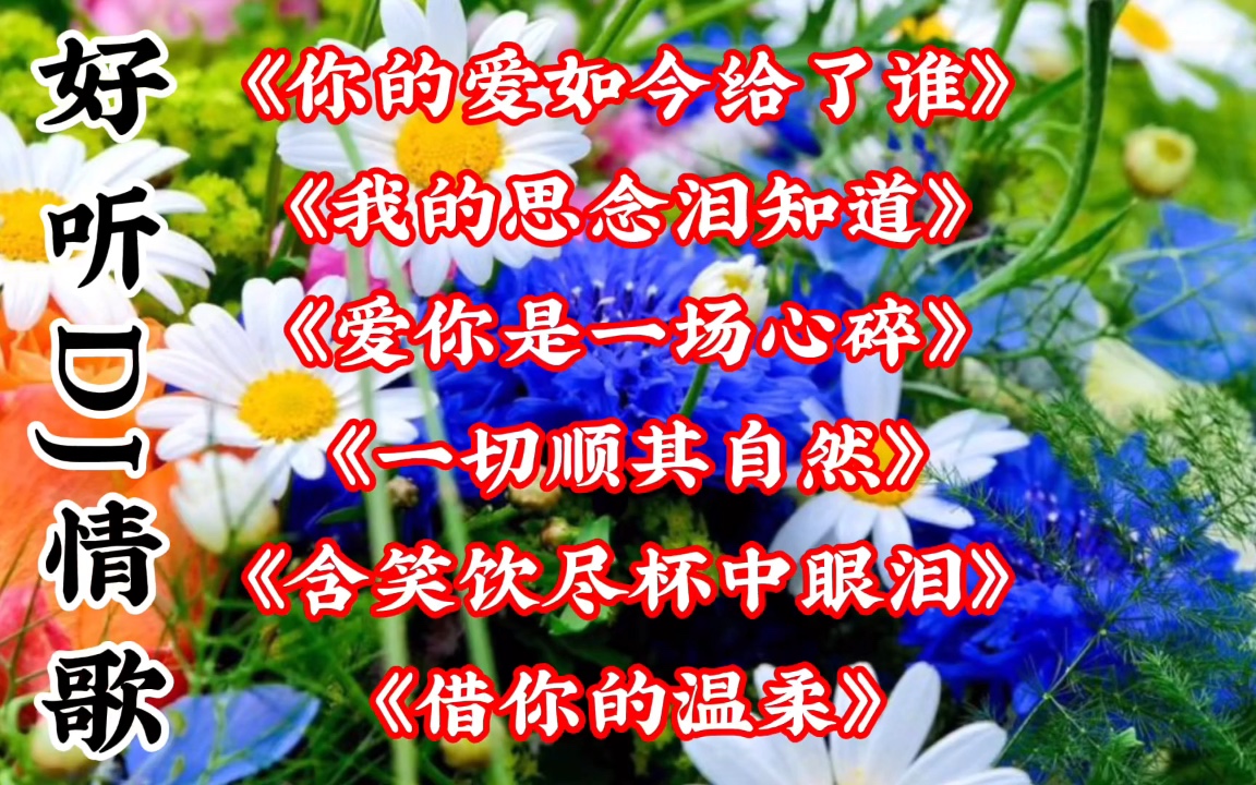 dj情歌《你的爱如今给了谁》《我的思念泪知道》《借你的温柔》