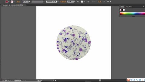 Adobe Illustrator添加箭头 哔哩哔哩 Adobe Illustrator添加箭头 哔哩哔哩
