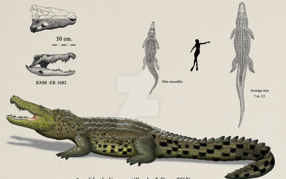 古生物科普17:瑟布贾纳森鳄