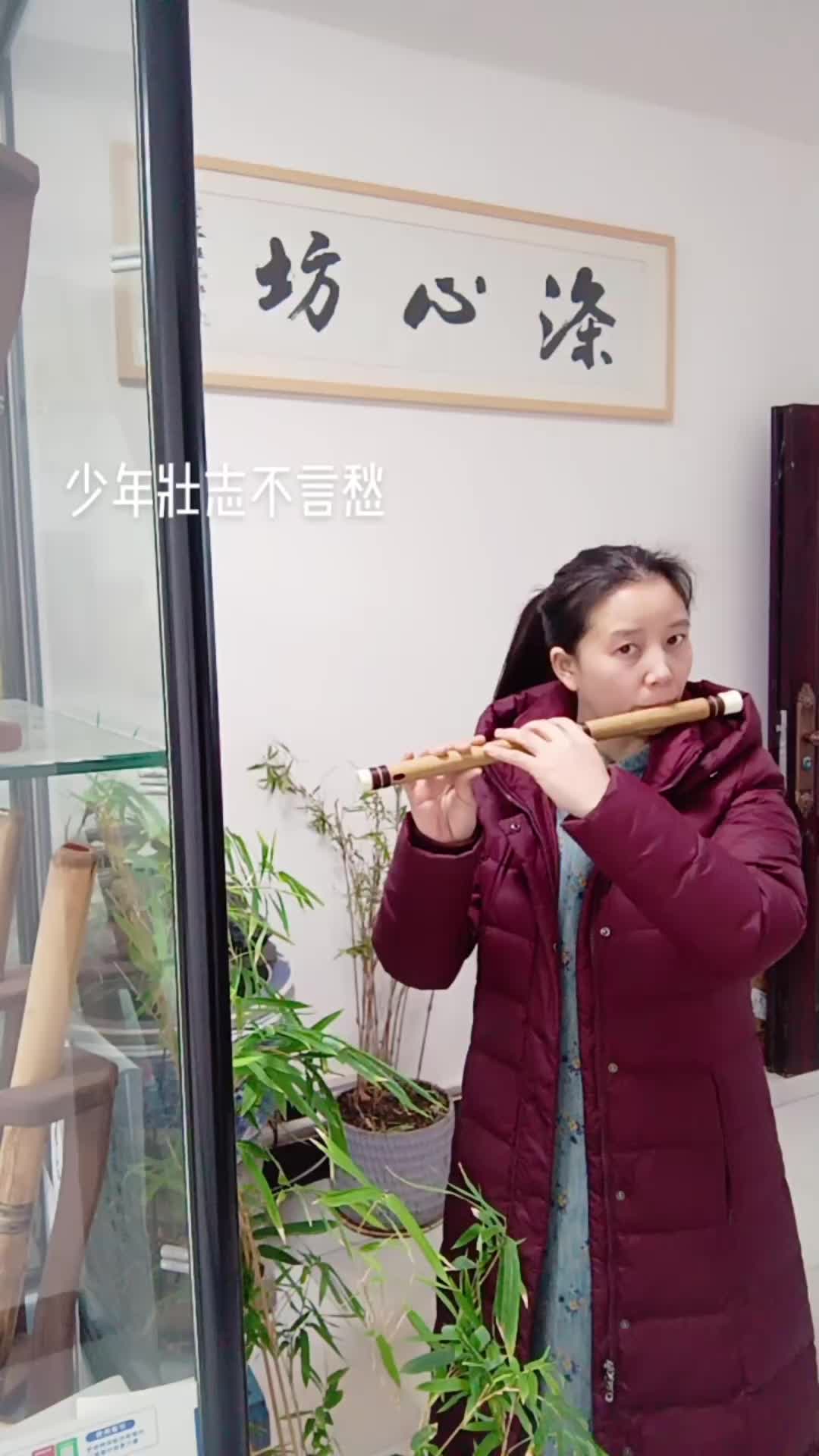 《少年壮志不言愁》涤心坊万强老师作品"致音"清吹#民族乐器 #笛子