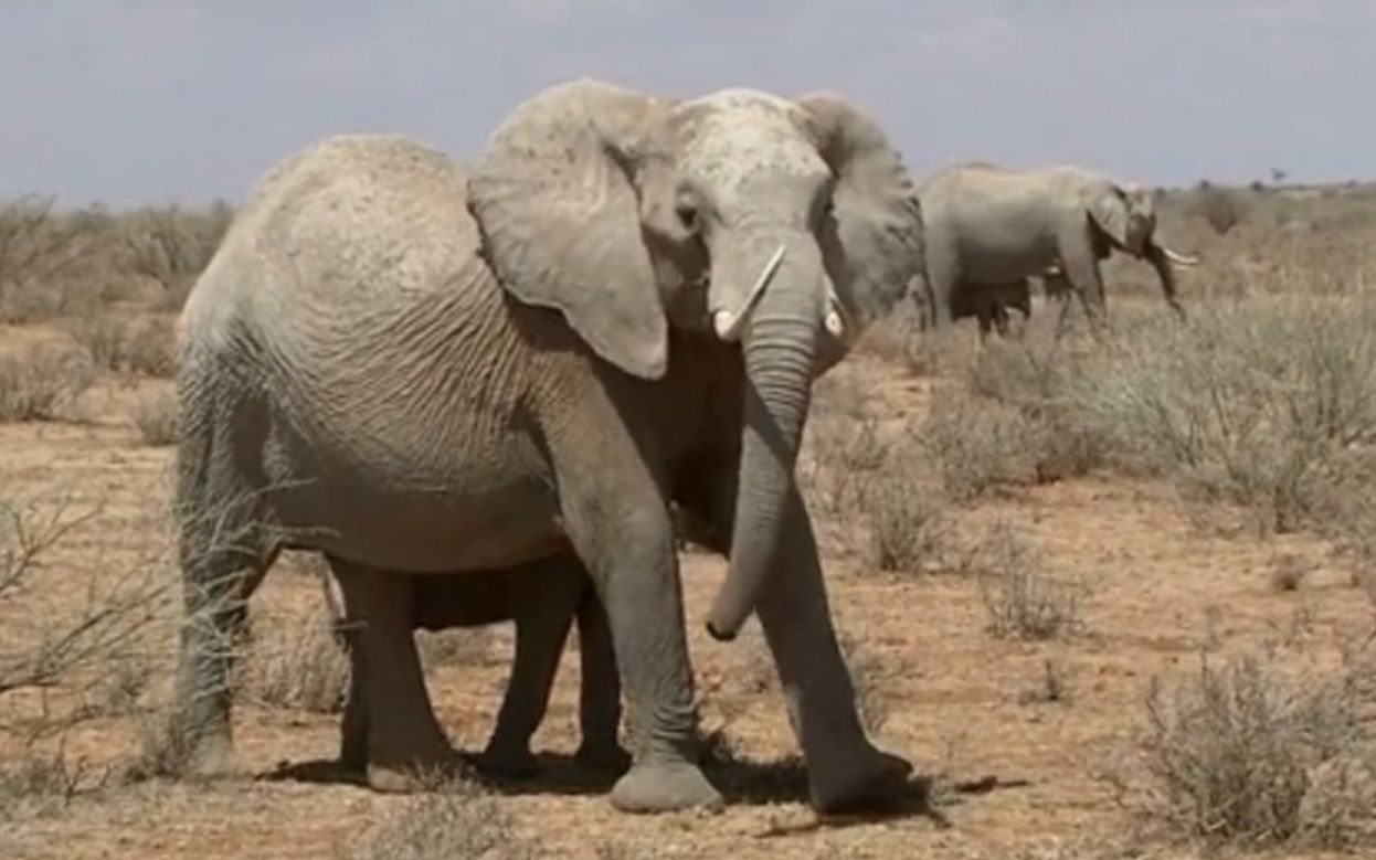 时代少年团新歌# 时代少年团 tnt纪录片《光环下的少年——"象"》