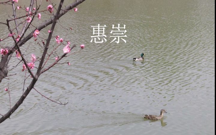 [图]《惠崇春江晚景》 苏轼