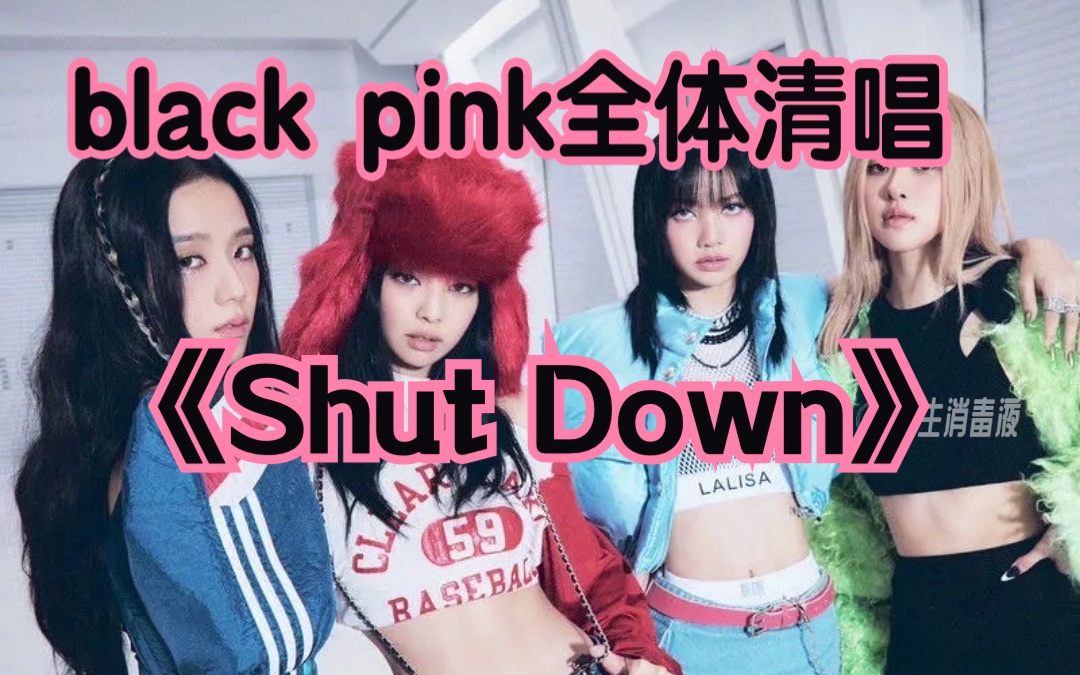 [图][Shut Down] 人声提取 清唱 纯享版