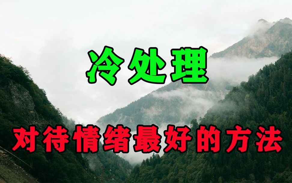 有一种顶级聪明,叫冷处理!只要情绪过了,事情就不是事了哔哩哔哩bilibili