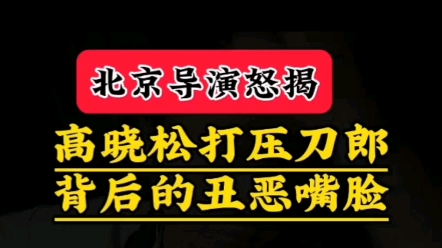 北京导演怒揭高晓松打压刀郎背后的丑恶嘴脸哔哩哔哩bilibili