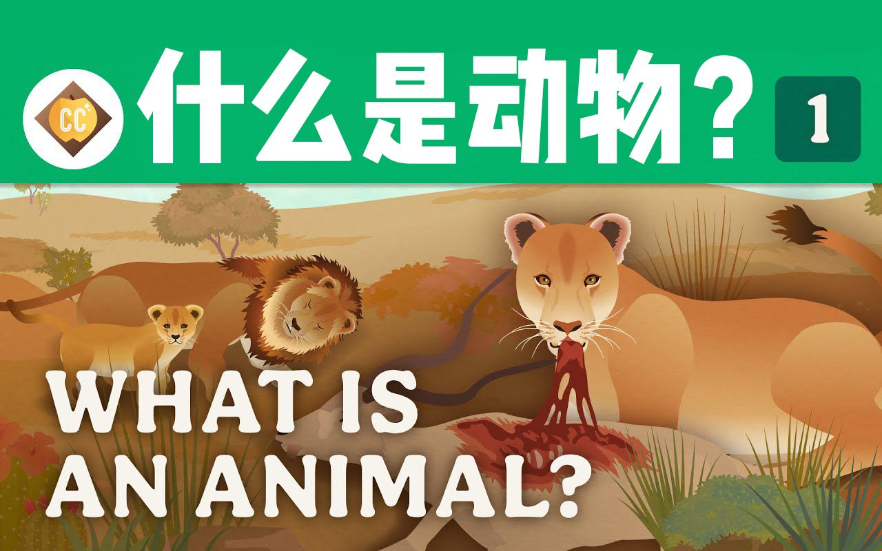 【十分钟速成课:动物学】第1集,什么是动物?(中英字幕)Crash Course Zoology #1哔哩哔哩bilibili