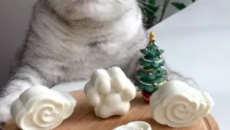 027 烹饪猫 元宇宙猫 猫 猫咪爱好者 宠物 哔哩哔哩 Bilibili 027 烹饪猫 元宇宙猫 猫 猫咪爱好者 宠物 哔哩哔哩 Bilibili