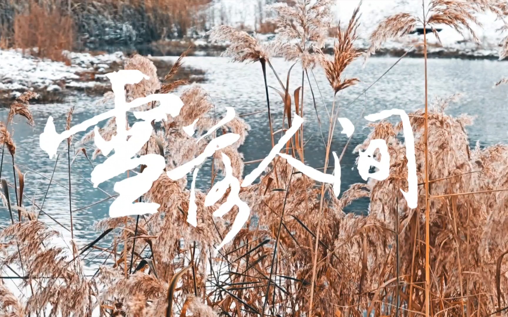 [图]随便拍的短片《雪落人间》