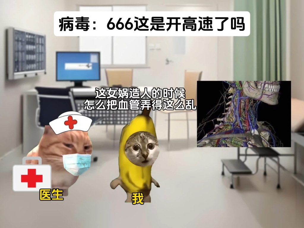 病毒：666这是开高速了吗？#猫meme#搞笑#抽象#万万没想到
