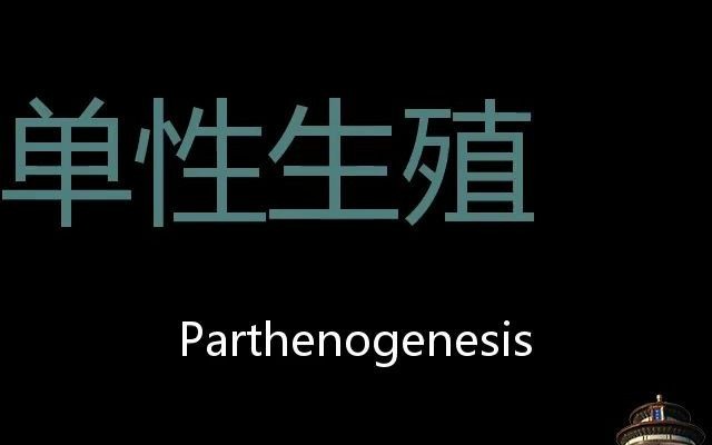 [图]单性生殖 Chinese Pronunciation Parthenogenesis