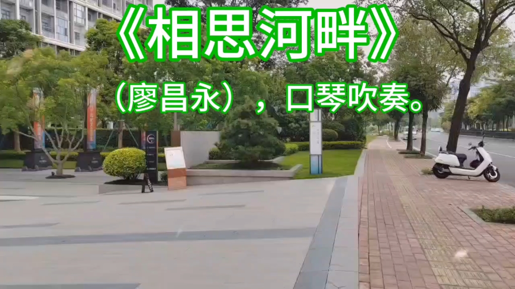 《相思河畔》口琴吹奏.