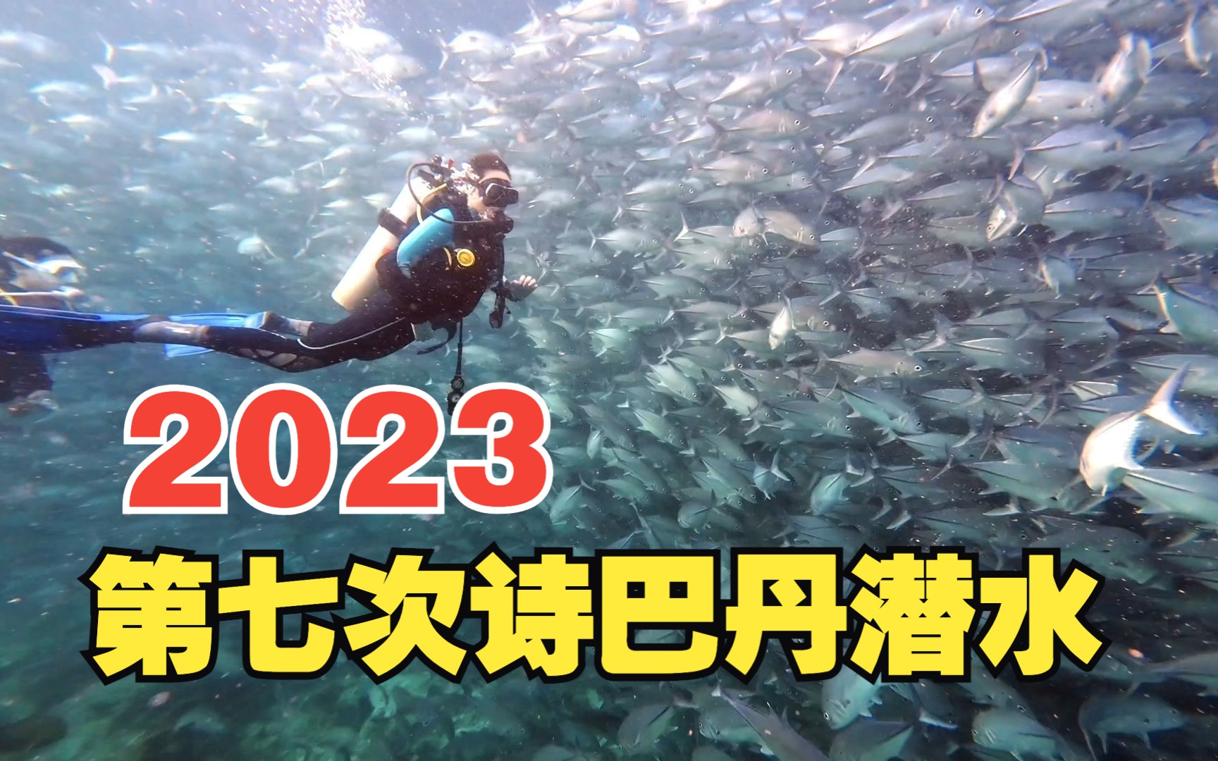 2023年9月23号 我们第七次诗巴丹潜水哔哩哔哩bilibili