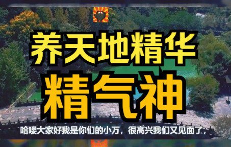 [图]如何理解道家常說的“氣”？精气神之关键，一生修行之核心！藏天地精华正气