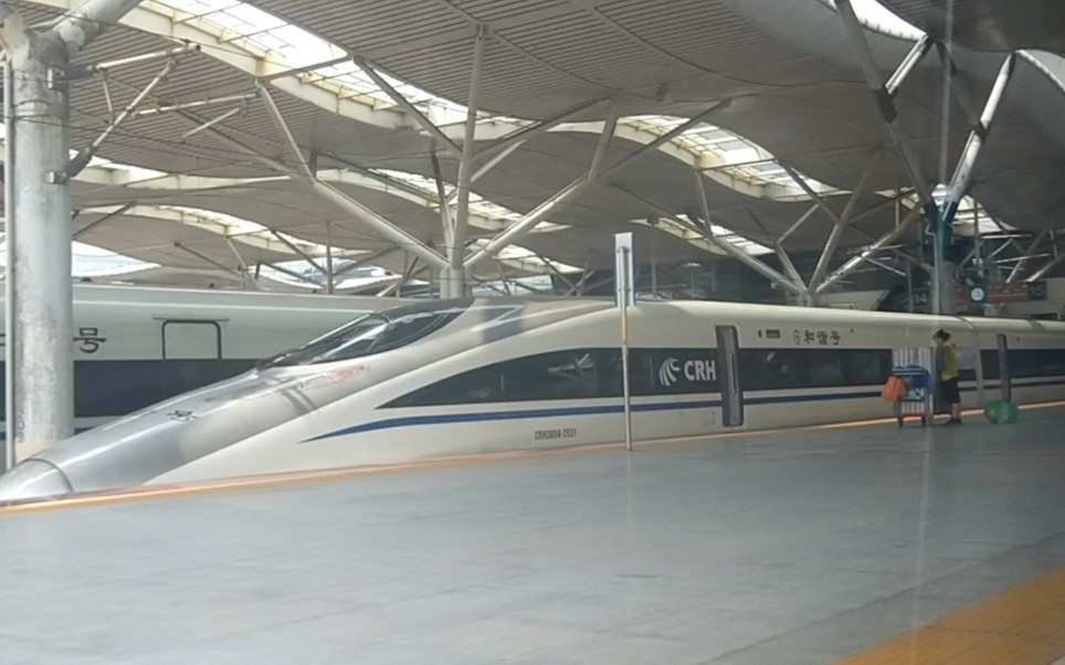 【沪昆高铁】g9662进长沙南站,后在长沙南站遇到crh380a-2531和g2370