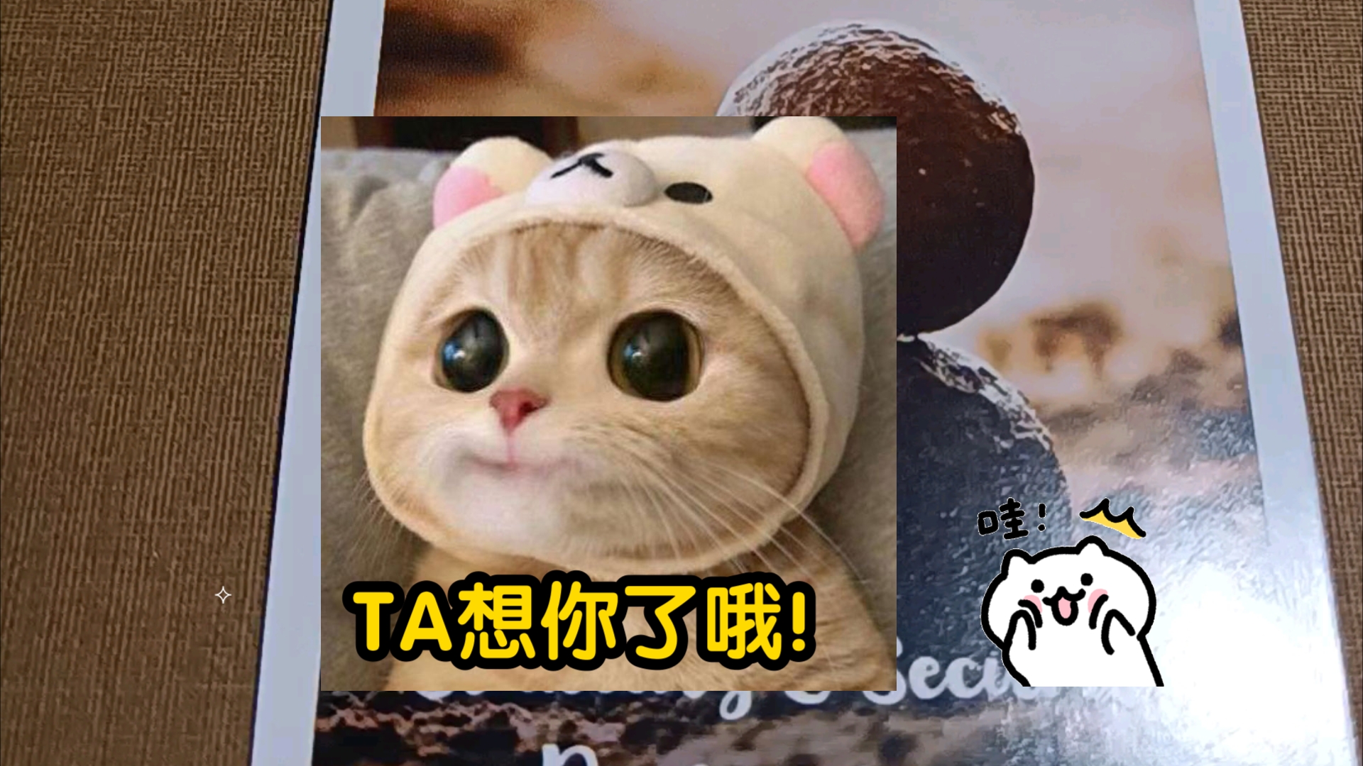 【猪猪侠】情感对象TA是怎么看你的,TA有想你哦!后续发展如何静待揭晓~~哔哩哔哩bilibili