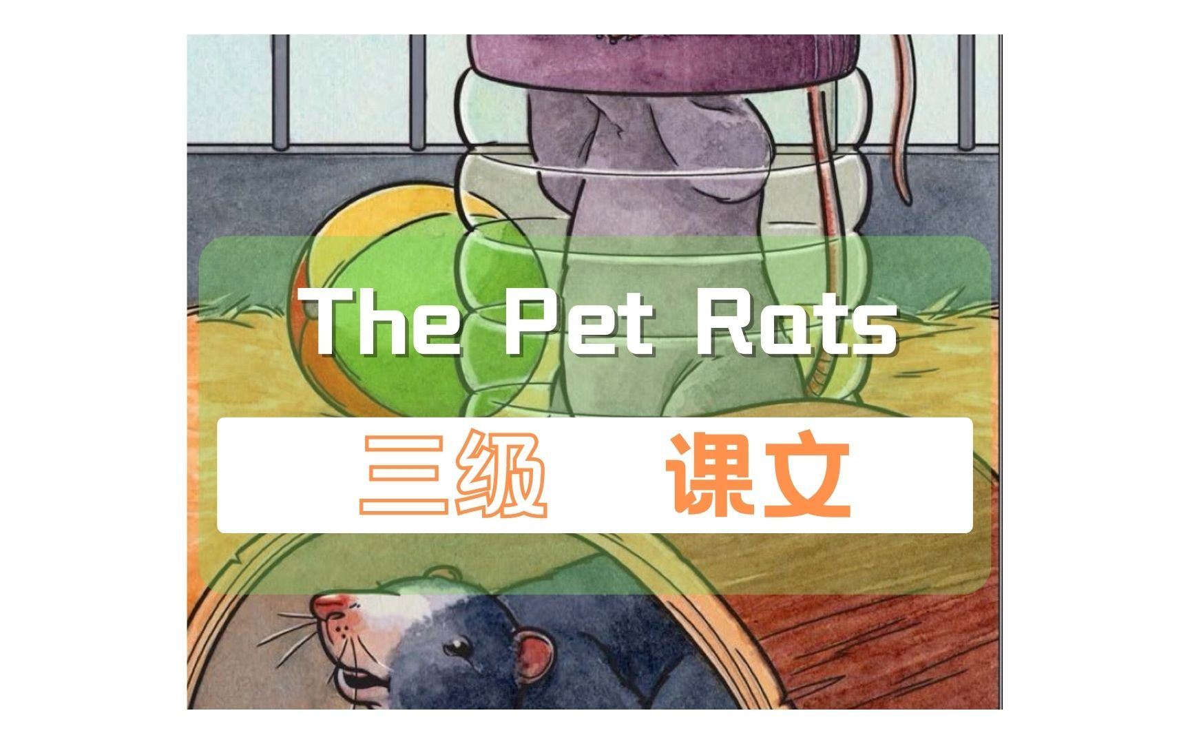 RAZ 三级 课文 The Pet Rats哔哩哔哩bilibili